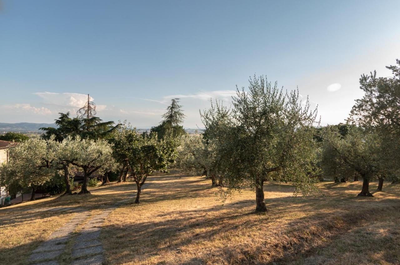 Agriturismo La Rocca Assisi Petrignano Exterior photo