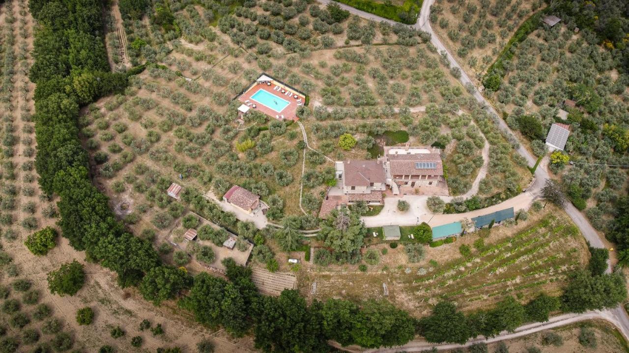 Agriturismo La Rocca Assisi Petrignano Exterior photo